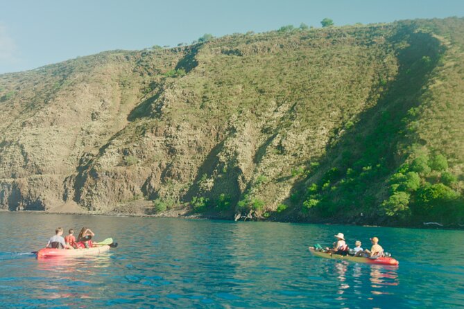 Midday Meander - Kealakekua Bay Kayak and Snorkel Adventure - Good To Know