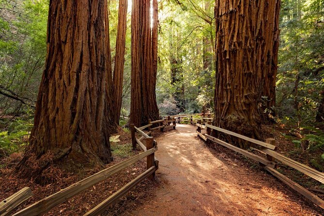 Mix & Save: Muir Woods and Sausalito + Escape From the Rock Cruise - Good To Know