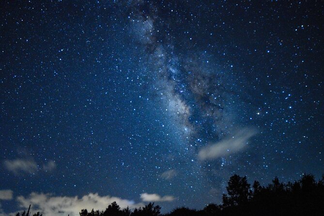 Miyako Island Jungle Night Tour and Starry Sky Viewing - Good To Know