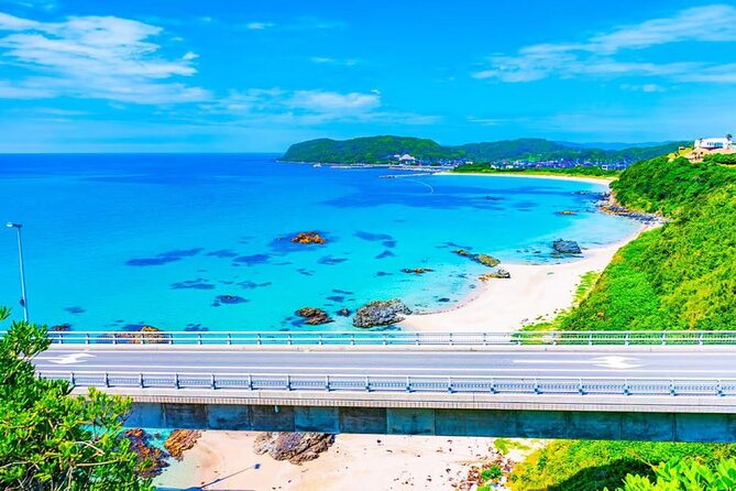 Moji Port, Subsea Tunnel and Shrine Day Tour From Fukuoka - Good To Know