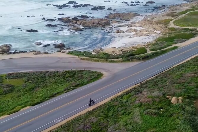 Monterey Bay Famous Dog Friendly Electric Bike and Sidecar Tour - Good To Know