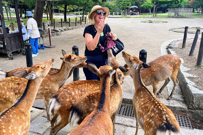 Morning Wonder World Heritage Nara Guided Tour - Good To Know