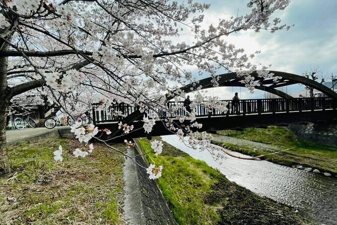 Mount Fuji 5th Station Kawaguchiko Gotemba Mall Tour From Tokyo - Good To Know