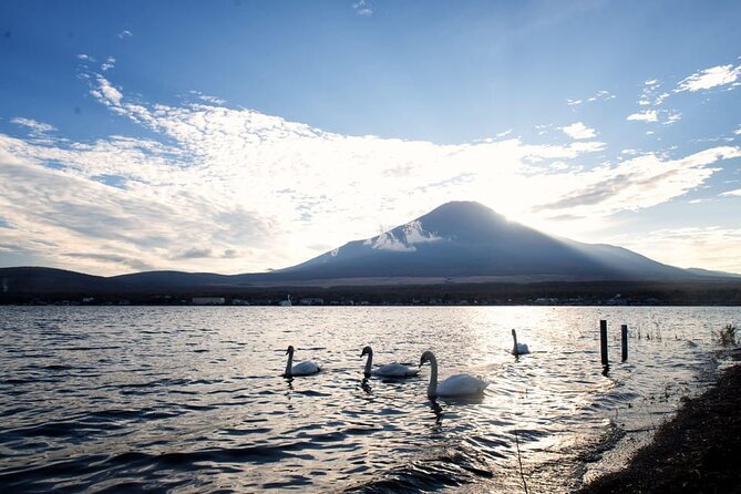 Mount Fuji and Lake Kawaguchi Private Day Trip From Tokyo - Good To Know