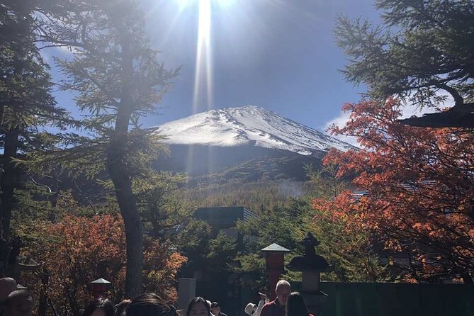 Mount Fuji One Day Tour From Tokyo Japan - Good To Know