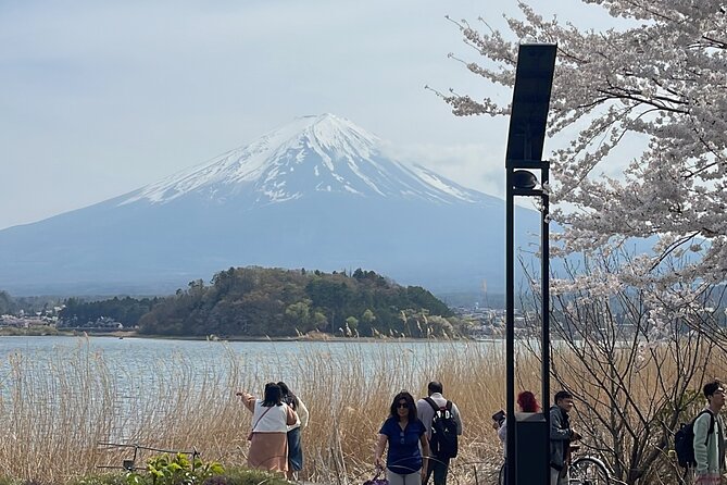 Mount Fuji Private Full Day Customize Tour With English Driver - Good To Know
