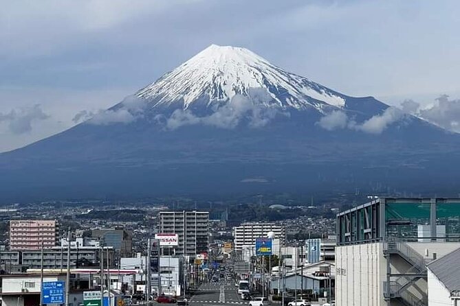 Mount Fuji Sightseeing One Day Tour From Shinjuku - Good To Know