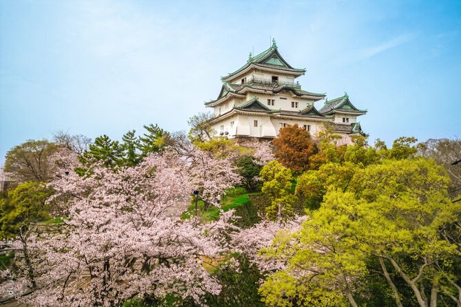 Mount Koya, Wakayama and Nachi Waterfall Tour - Good To Know