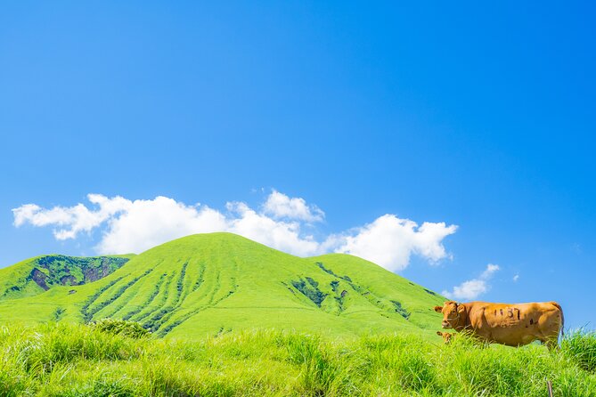 Mt. Aso and Kumamoto Castle Shared Bus Tour From Fukuoka - Good To Know