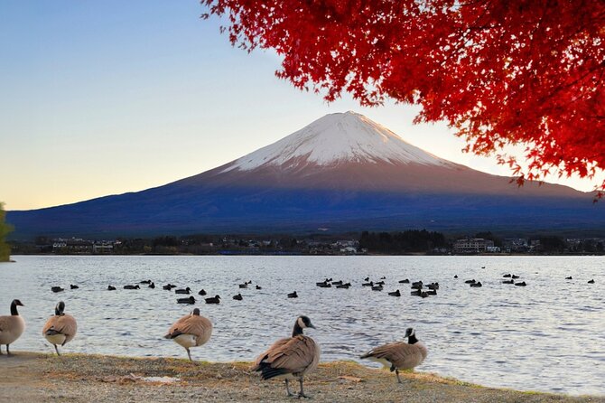 Mt. Fuji 5th Station Day Tour and Matcha Making in Tokyo - Good To Know