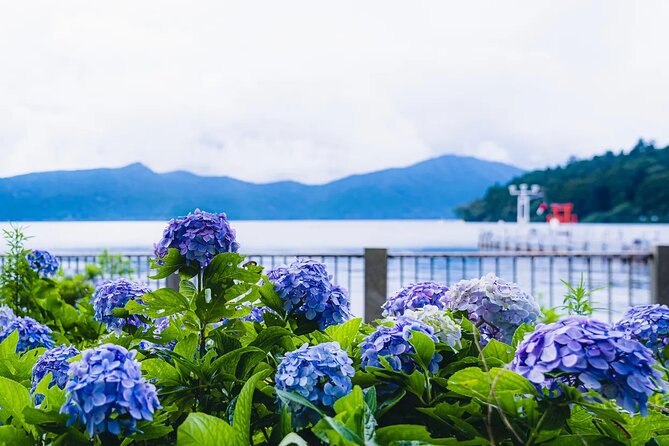 Mt Fuji and Hakone One Day Tour Departure From Tokyo With Lunch - Good To Know