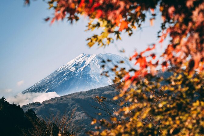 Mt. Fuji and Hakone Private Day Tour With English Speaking Guide - Good To Know