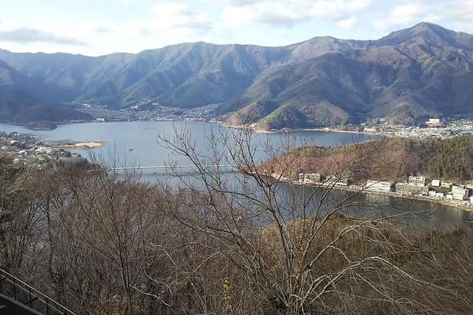 Mt. Fuji Day Tour by Private Minivan With Licensed Tour Guide and Driver - Good To Know