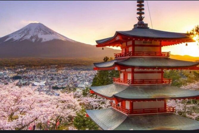 Mt Fuji/Hakone Private Tour From Tokyo/Yokohama - Good To Know