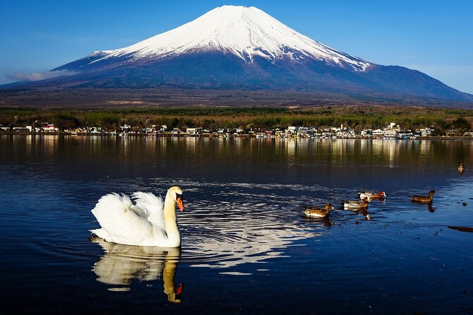 Mt Fuji Lake Kawaguchi and Yamanaka Hot Spring Day Tour in Tokyo - Good To Know