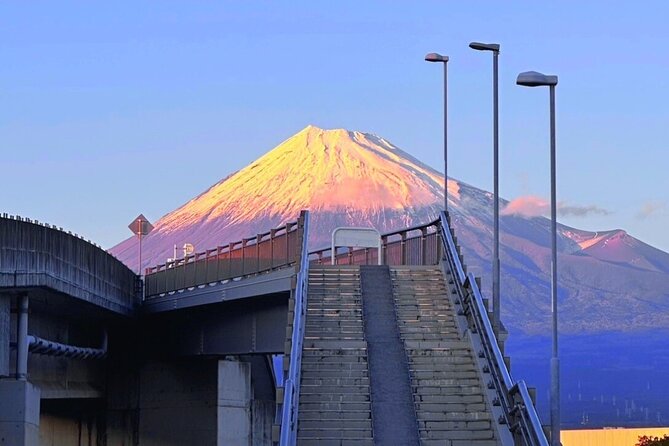 Mt.Fuji Private Day Trip From Tokyo With Driver & Top Photo Spots - Good To Know