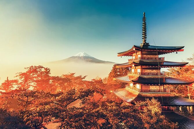 Mt Fuji Scenic Views and Lake Kawaguchi Floral Tour From Tokyo - Good To Know