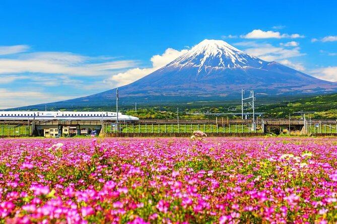Mt. Fuji to Lake Kawaguchi, Lake Yamanaka and Onsen Day Tour - Good To Know