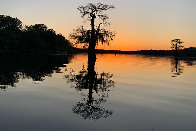 Mystical Private Kayak and Canoe Tours on Caddo Lake - Good To Know