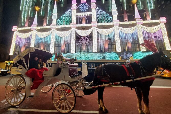 New York City Christmas Lights Private Horse Carriage Ride - Good To Know