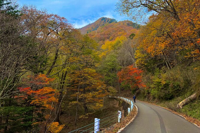 Nikko Cycling Tour With Local Guide - Good To Know
