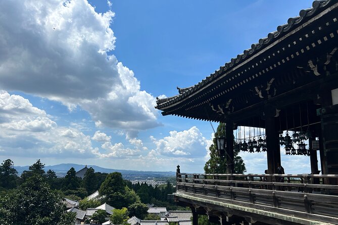 No Emission Car Nara Private Tour From Kyoto With Japanese Guide - Good To Know