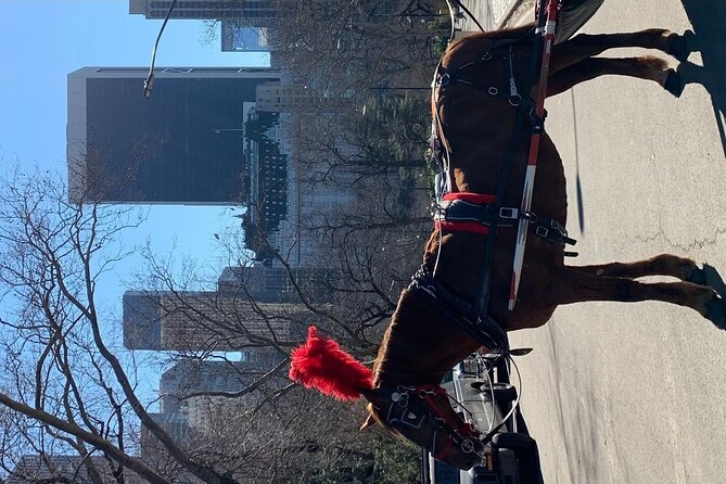 NYC Empire State Horses Carriage Ride in Central Park (45 Mins) - Good To Know