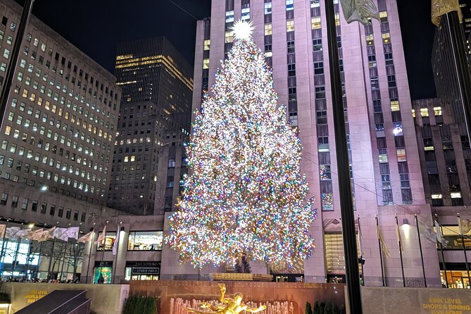 NYC Holiday Lights Tour - Good To Know