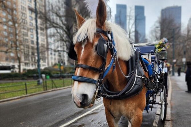 NYC Horse and Carriage Central Park Tours - Good To Know
