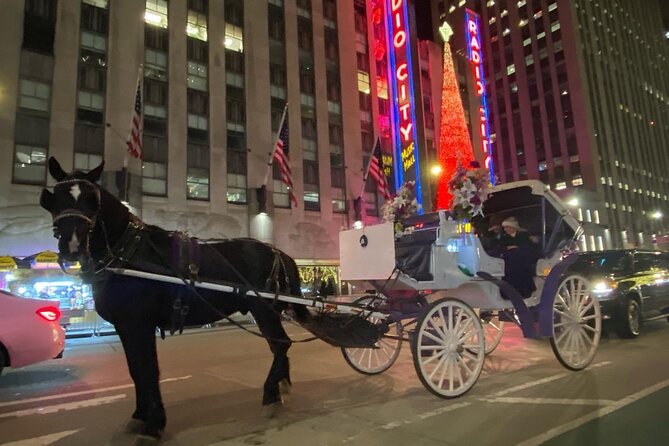 NYC Rockefeller Center Christmas Lights Horse Carriage Ride - Good To Know