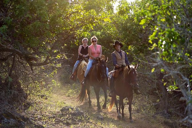 Oahu Sunset Horseback Ride - Good To Know