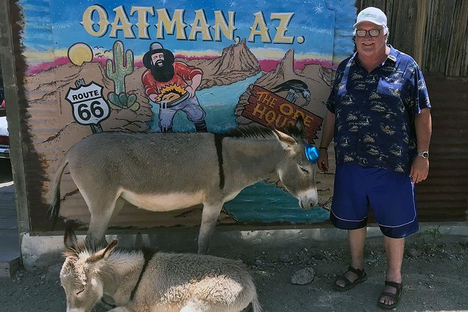 Oatman Mining Camp, Burros, Museums/Scenic RT66 Tour Small Grp - Good To Know