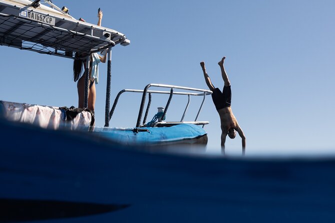 Offshore Safari Adventure in Kona With Underwater Photos - Good To Know