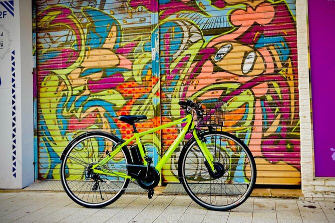 Okinawa E-bike Rental (Sporty Type) - Good To Know