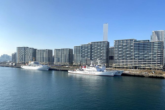 Old and New Tokyo Half Day Cycling - Tokyo Bay Olympic Sites by Bike - Good To Know