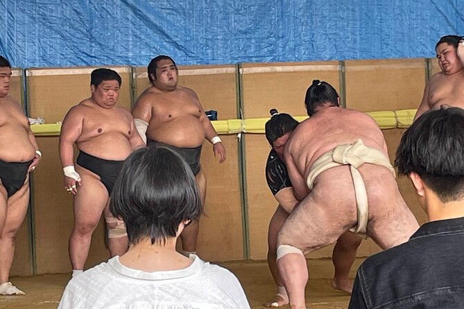 Osaka Sumo Morning Practice Watching Experience - Good To Know