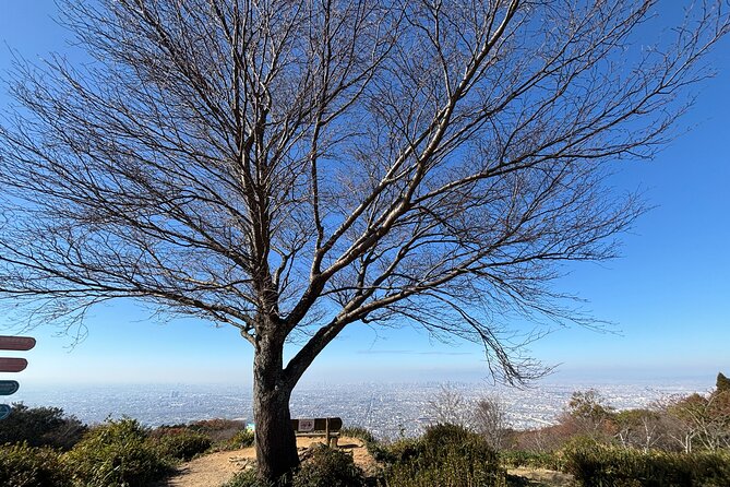 Overlooking the Magnificent View of Osaka - Good To Know