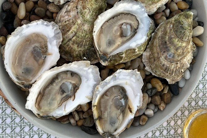 Oyster and Wine Tasting in a Cozy Seaside Lodge - Good To Know