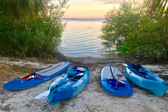 Paddle Board or Kayak Eco Dolphin Manatee Tour - Wildlife Experience
