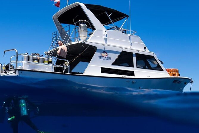 Premium Afternoon Scuba Charter for All Certified Diver Levels - Good To Know