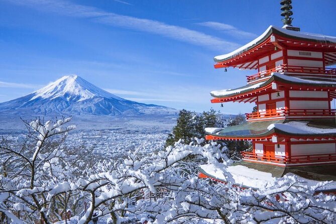 Private 1 Day Round Trip Tour From Tokyo to Mount Fuji - Good To Know
