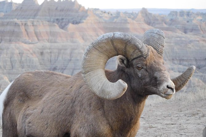 Private 5 Hour Badlands Tour With Local Experts - Good To Know