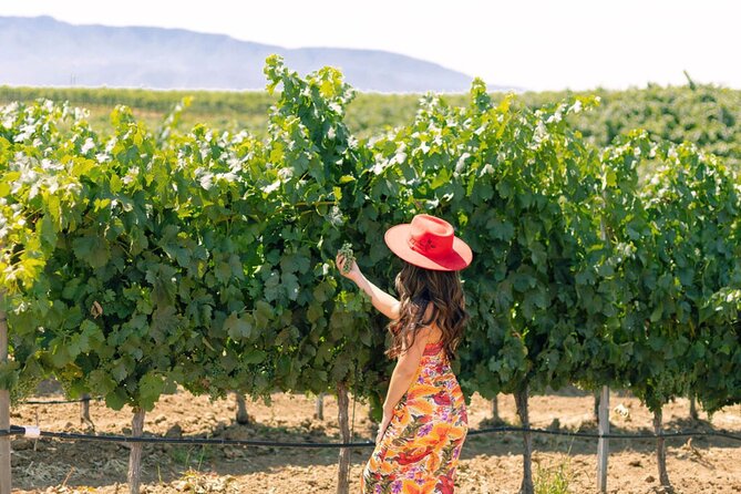 Private All-Inclusive Santa Ynez Wine Tour From Santa Barbara - Good To Know