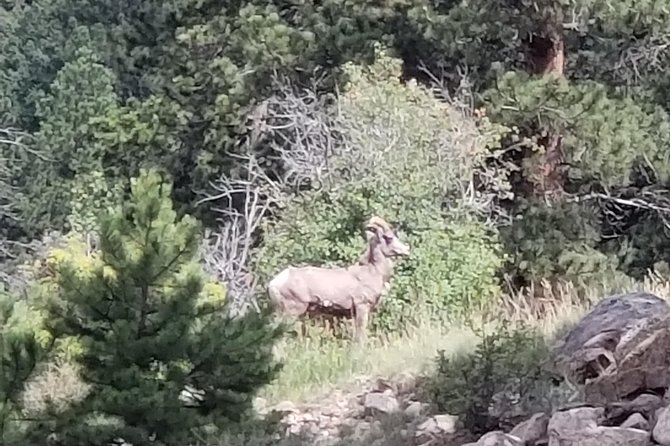 Private and Personalized Three Hour Morning Tour of Rocky Mountain National Park - Good To Know