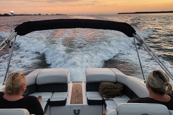 Private Boat: Island Cruise and Dolphins - Wildlife Encounters: Dolphins and More