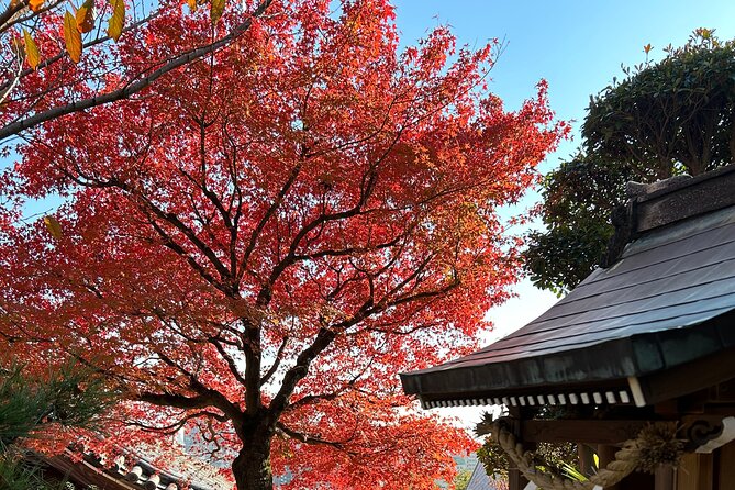 Private Car Tour From Kyoto to Osaka by Japanese Guide - Good To Know
