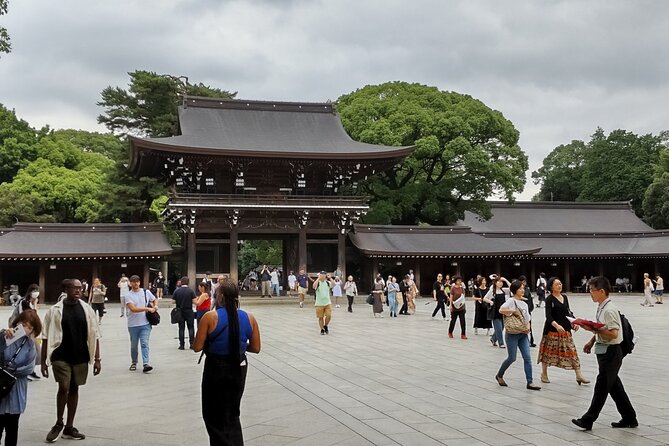 Private Chartered-Taxi Tokyo Tour With Certified Japanese Guide - Good To Know