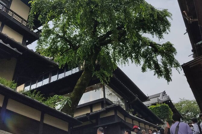 Private Customized Walking in Tour Kyoto - Good To Know