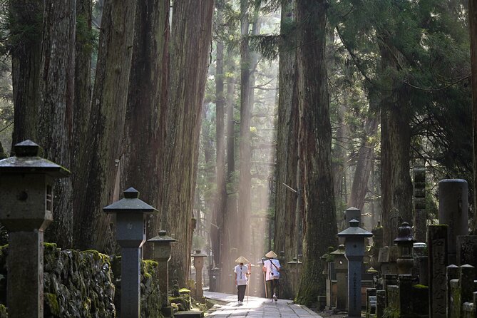 Private Day Trip to Mystic Koyasan for Purification - Trip Overview