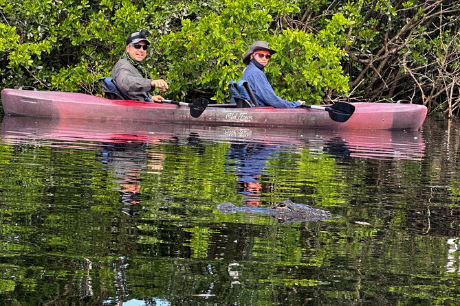 Private Everglades Kayak Tour See The Real Everglades With Us - Good To Know